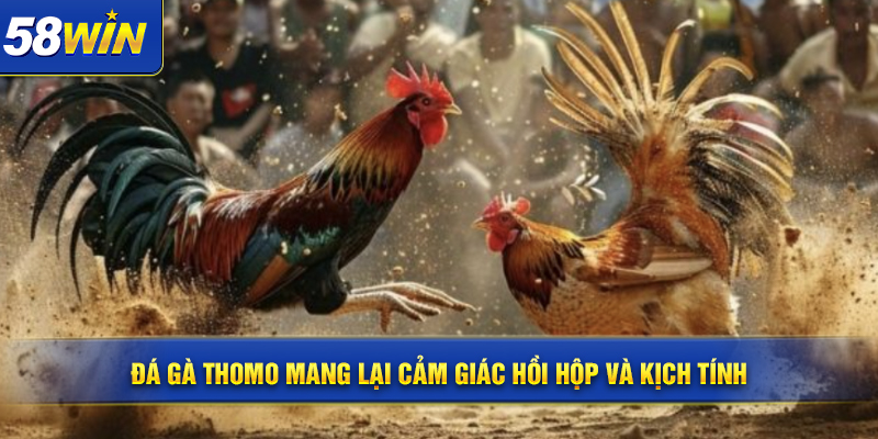 Da ga Thomo mang lai cam giac hoi hop va kich tinh