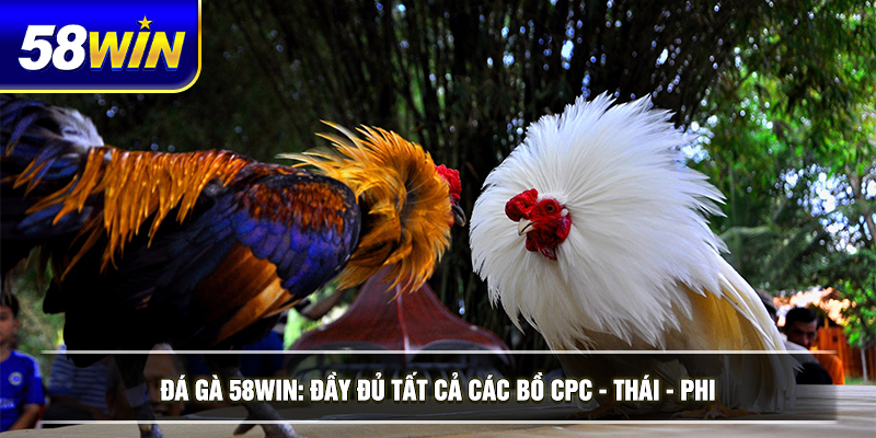 da ga 58win day du tat ca cac bo cpc thai phi