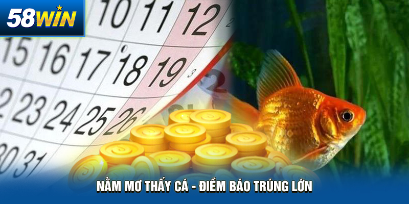 nam mo thay ca diem bao trung lon