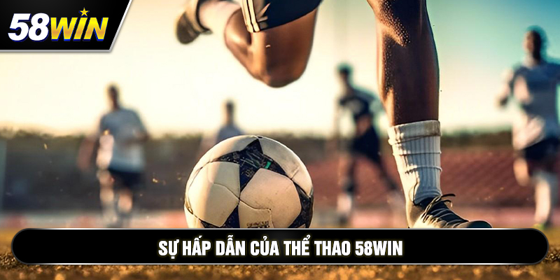 su hap dan cua the thao 58win